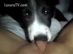 Adorable mutt consuming a raw kitten
